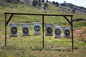 6 target